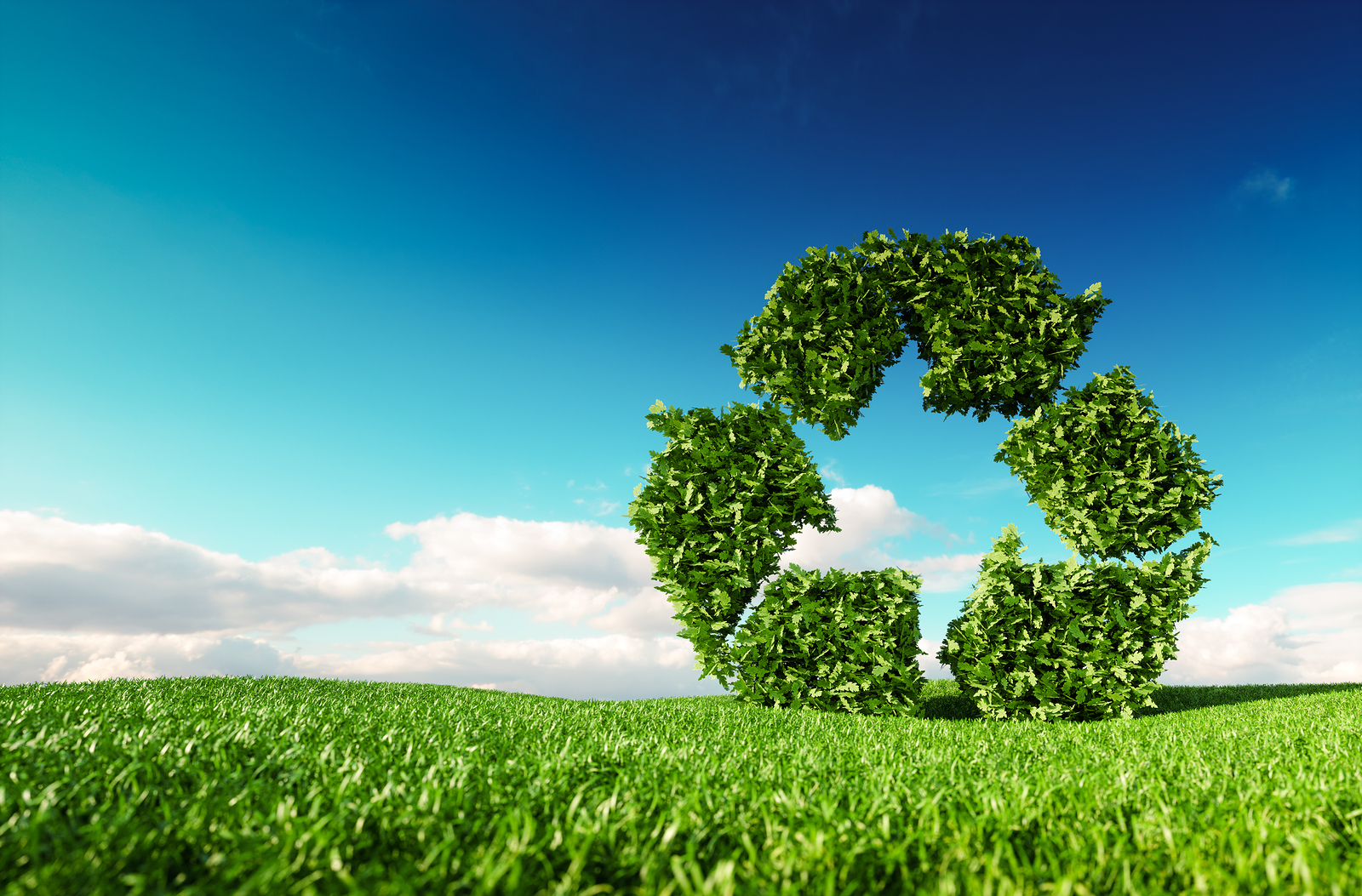 Balkan Service is certified under ISO 14001