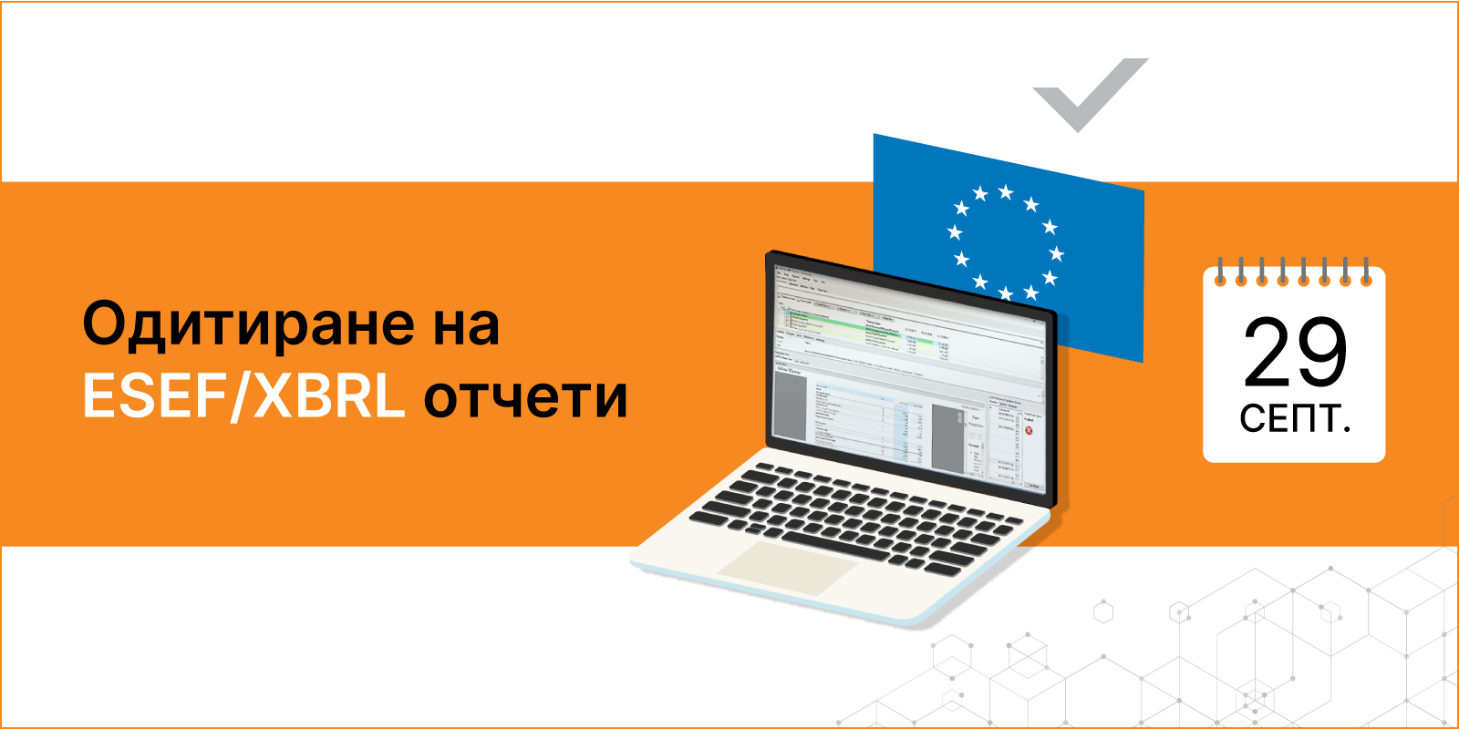 A free webinar: Auditing ESEF/XBRL reports