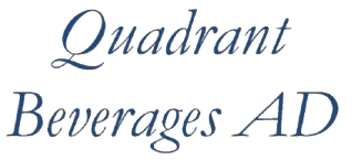One of the largest ERP projects delivered by Balkan Services.